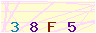 animated captcha