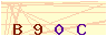 animated captcha