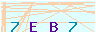 animated captcha
