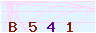 animated captcha