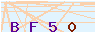 animated captcha