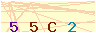 animated captcha