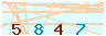 animated captcha