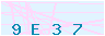 animated captcha