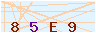 animated captcha