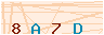 animated captcha