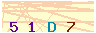 animated captcha